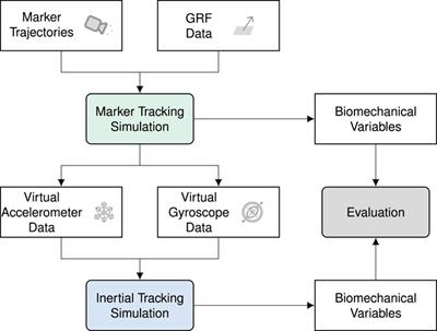 Estimating 3D kinematics and kinetics from virtual inertial sensor data through musculoskeletal movement simulations